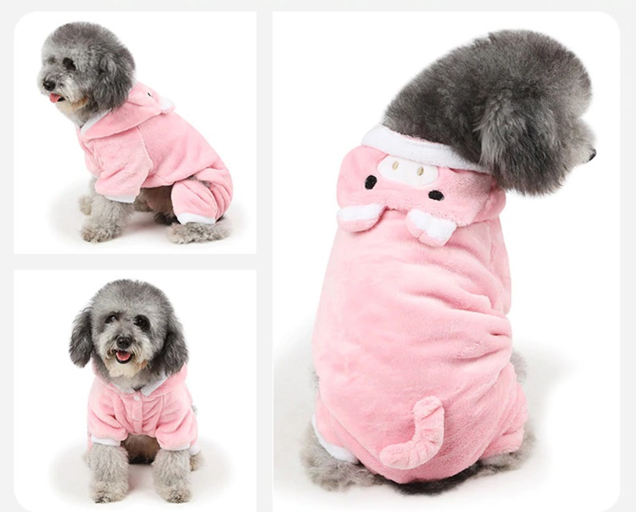 dog onesie