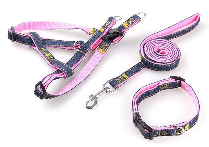 collar and harness set