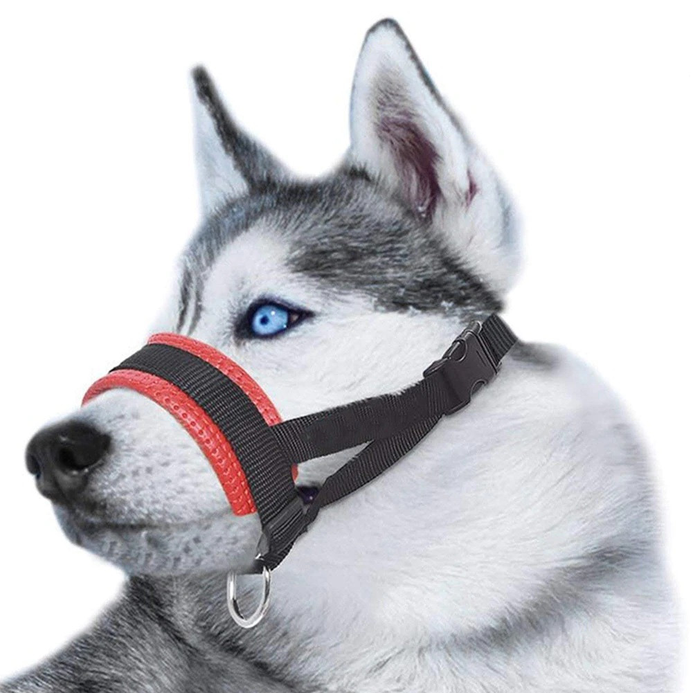 padded dog head collar