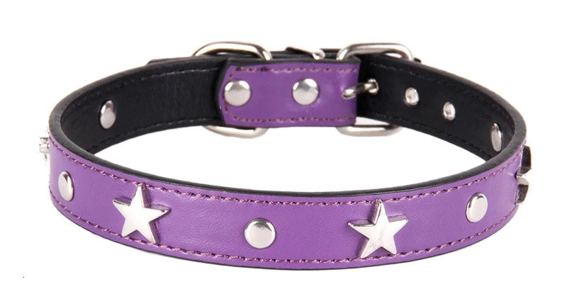 purple studded dog collar