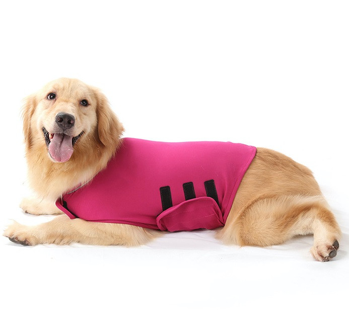 earthborn holistic lamb