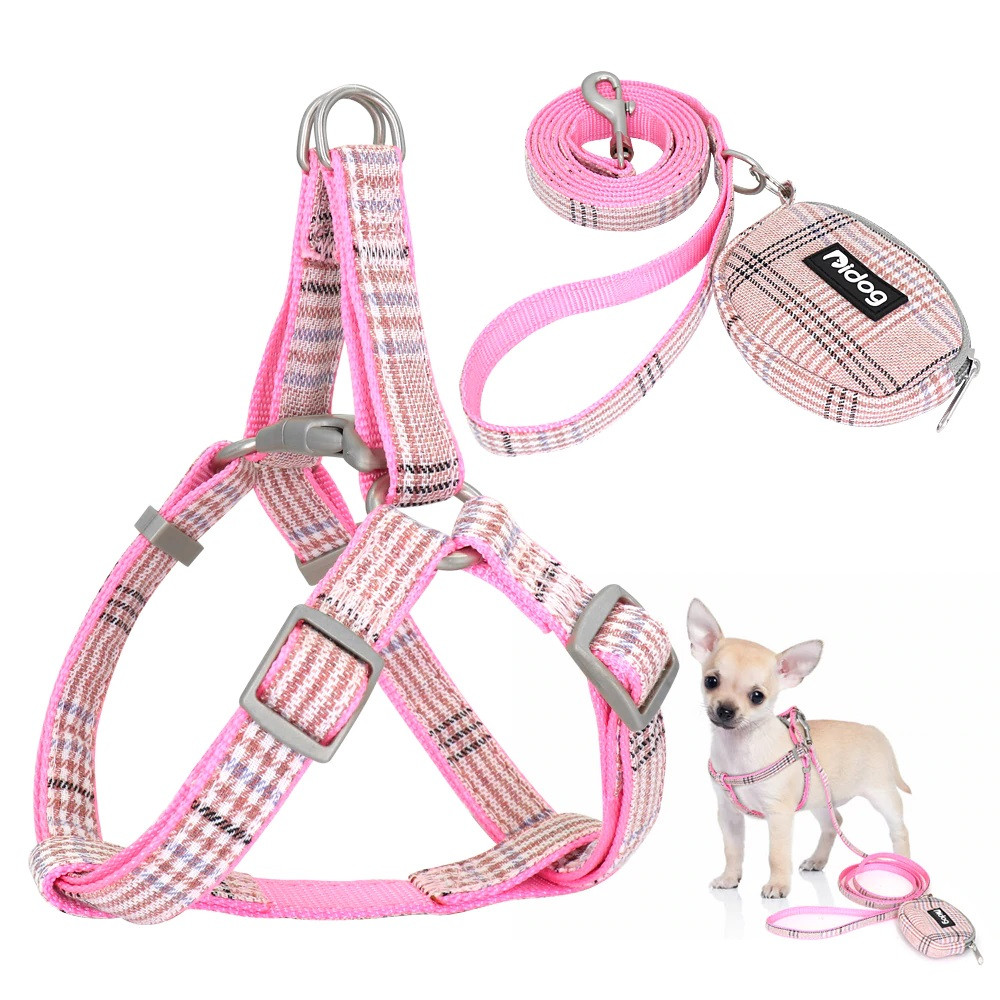 harness and lead