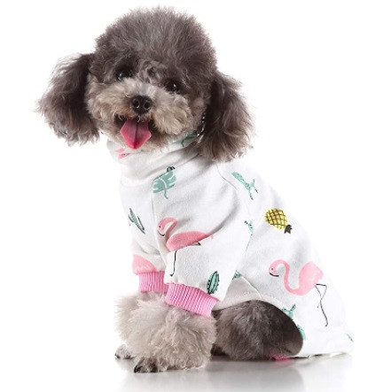 flamingo dog clothes