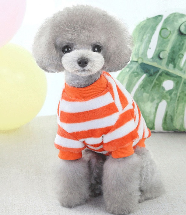 orange dog fleece