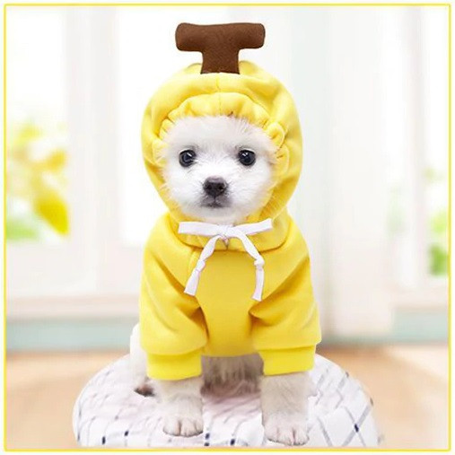yellow dog sweatshirt
