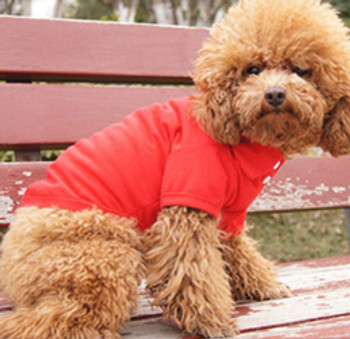 Red Plain Dog Polo T-Shirt