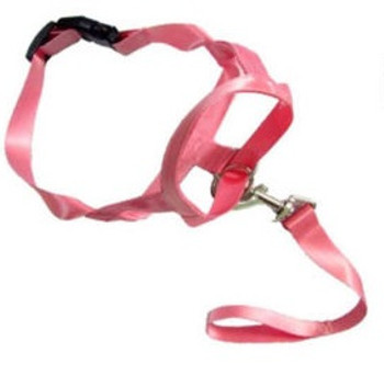 Pink Dog Head Collar