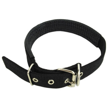Black Nylon Buckle Dog Collar Black Nylon Buckle Dog Collar