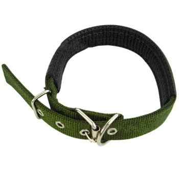 Green Nylon Buckle Dog Collar Green Nylon Buckle Dog Collar