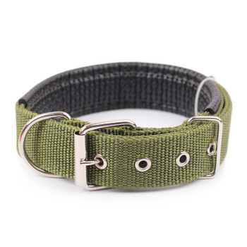 Green Nylon Buckle Dog Collar