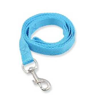 Blue Classic Nylon Dog Lead