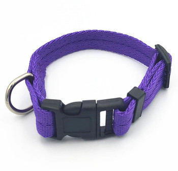 Purple Nylon Dog Clip Collar