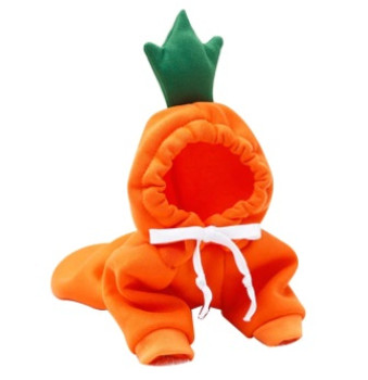 Orange Carrot Dog Hoodie