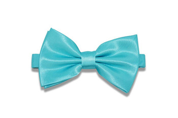 Aqua Blue Dog Dicky Bow Tie