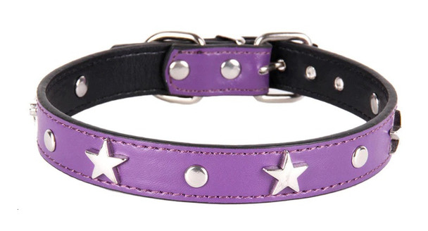 Purple Studded Star Dog Collar