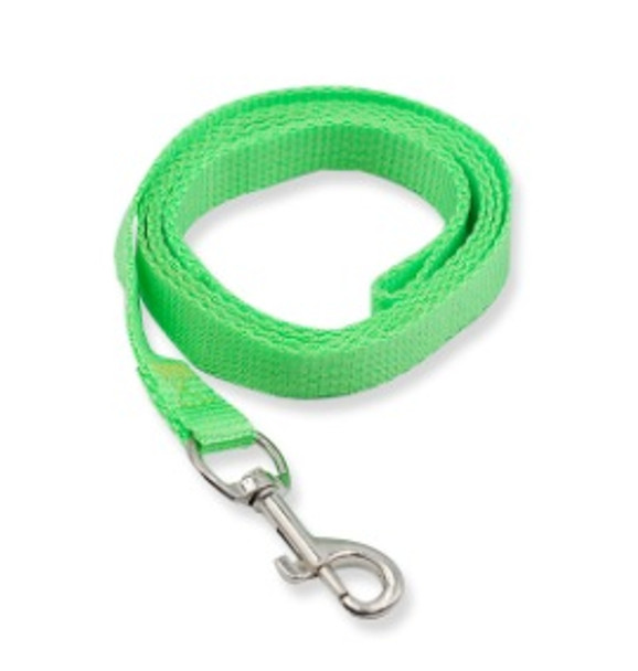 Green Classic Nylon Dog Lead