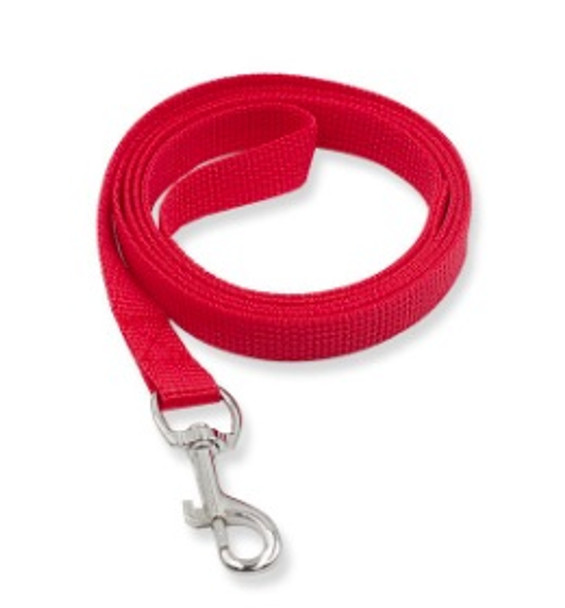 Red Classic Nylon Dog Lead