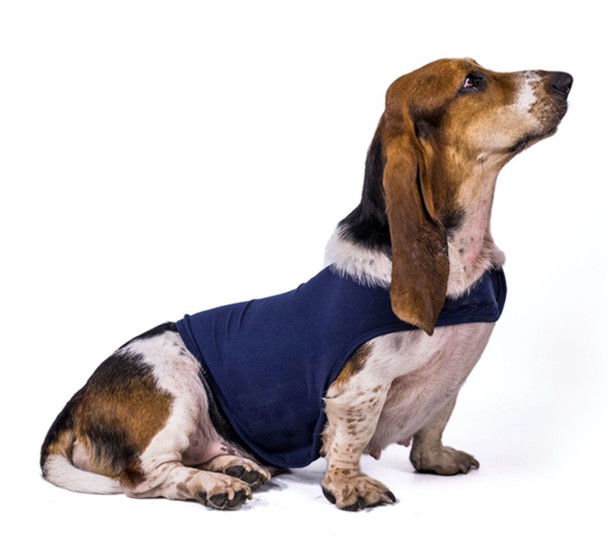 Blue Anti Anxiety Dog Vest
