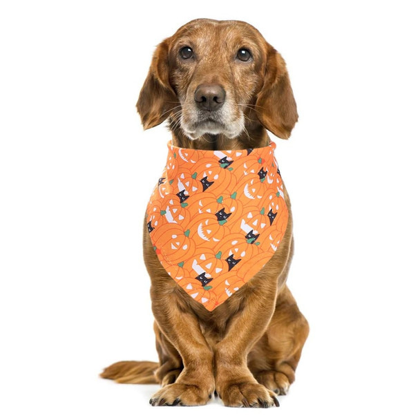 Orange Pumpkin Halloween Dog Bandana