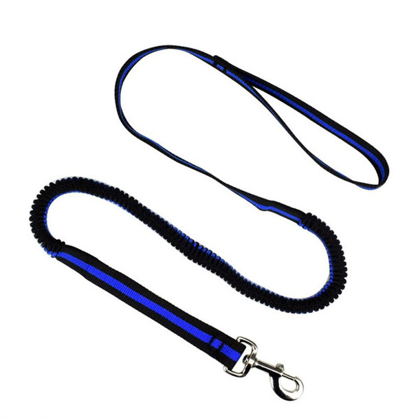 Blue Bungee Elastic Dog Lead