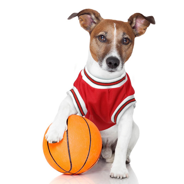 Red Dog Basketball Vest