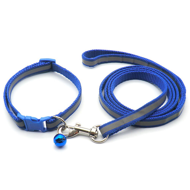 Small Blue Reflective Nylon Dog Collar & Lead Set