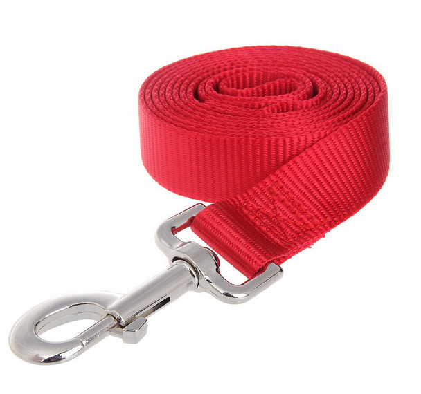 Red Extra Long Nylon Dog Lead 30 Metre