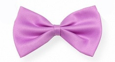 dicky bow ties for dogs