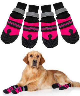 large dog winter boots