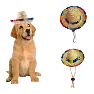 Dog With Sombrero Summer Straw Hat On White Background Stock