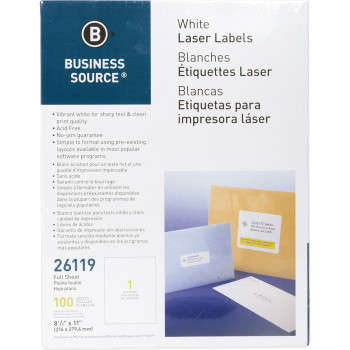 Business Source Bright White Premium-quality Full-sheet Address Labels - 100 / Pack (BSN26119)