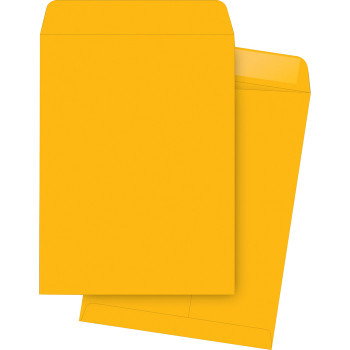 Business Source Kraft Gummed Catalog Envelopes - 250 / Box (BSN42101)