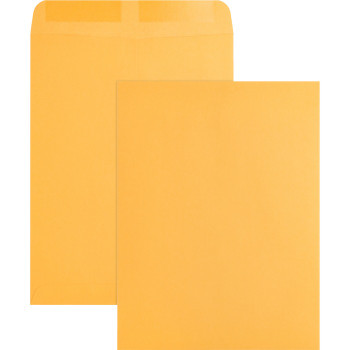 Business Source Kraft Gummed Catalog Envelopes - 250 / Box (BSN42100)