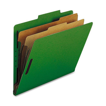 Nature Saver 2-divider Letter Classification Folders - 10 / Box (NATSP17208)