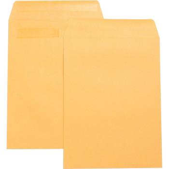 Business Source Press-To-Seal Catalog Envelopes - 100 (BSN42123)