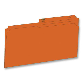 Hilroy Reversible File Folder - 100 / Box (HLR65165)