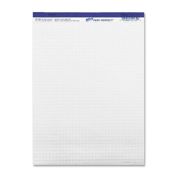 Hilroy Micro Perforated Quadrille Business Pad - 1 Each (HLR54132)