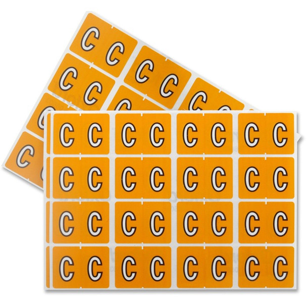 Pendaflex Color Coded Label - 240 / Pack (PFX06603)