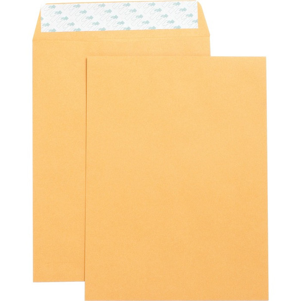 Business Source Self Adhesive Kraft Catalog Envelopes - 250 (BSN42120)