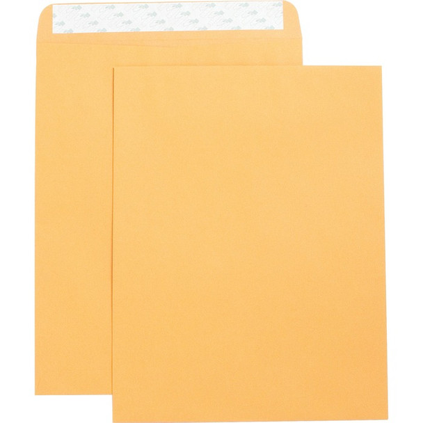 Business Source Self Adhesive Kraft Catalog Envelopes - 250 (BSN42121)