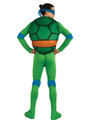 Leonardo Teenage Mutant Ninja Turtle