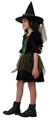Emerald City Witch Child Costume