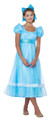 Peter Pan's Wendy Adult Costume