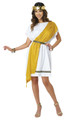 Party Toga Black/Yellow Adult Costume