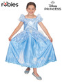 Cinderella Story Teller Deluxe Girls Costume