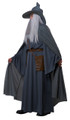Grey Wandering Wizard Costume Adult Plus Size