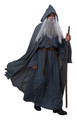 Grey Wandering Wizard Costume Adult Plus Size