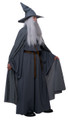 Wandering Wizard Grey Adult Costume