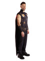 Thor Classic Adult Costume