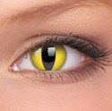 Cats Eye Contact Lenses